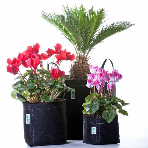 The Benefits of Gardening with Fabric Pots, Fabric Pot Benefits